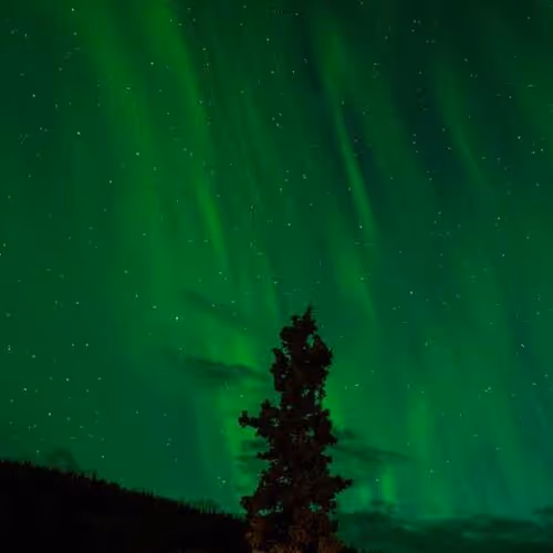 Interfaces Intel Accessory