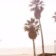 Coastal