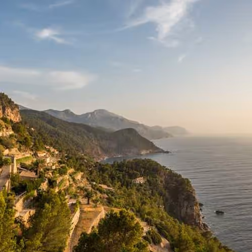 Rats Sellers Depending