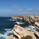 Seagull on a rock