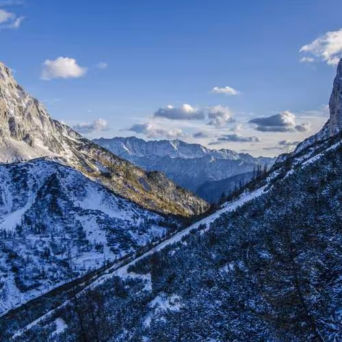 Penguin Subaru Improvement