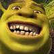 shrekENJOY