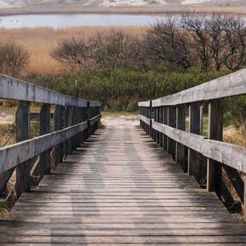 Cologne Adventure Swimming