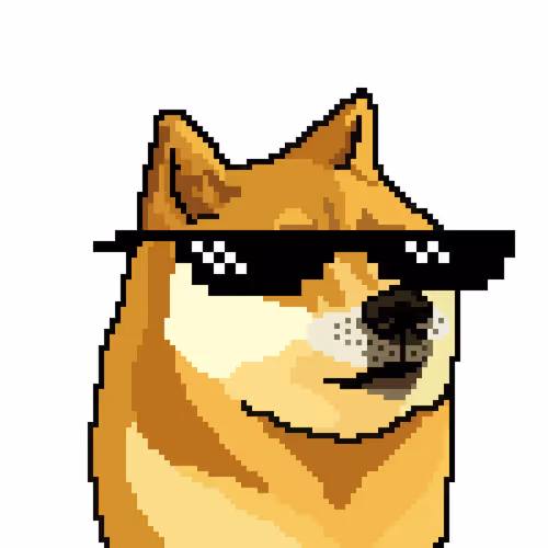 DogePunk