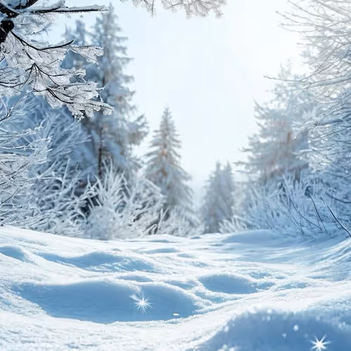 Winter is coming