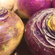 turnip