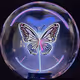 Butterflies in Crystal Ball