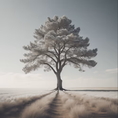 AI Generated Series #24 - Minimalist Dreams