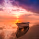 Ecstatic sunset
