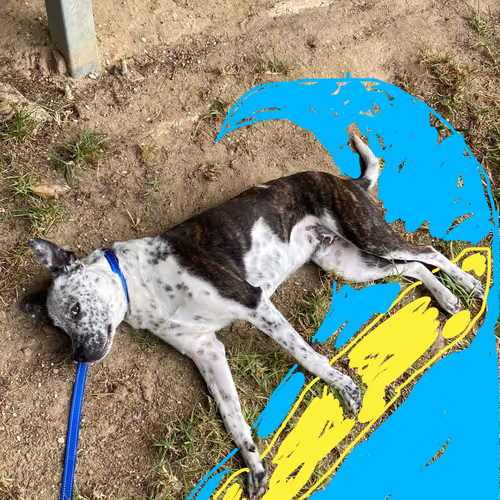 You won't believe what happens next