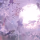 Ethereal Night