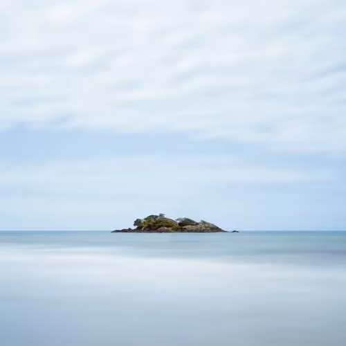 Reporter Vocals Journalist