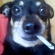 Dont smoke pls
