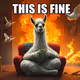 This is Fine
