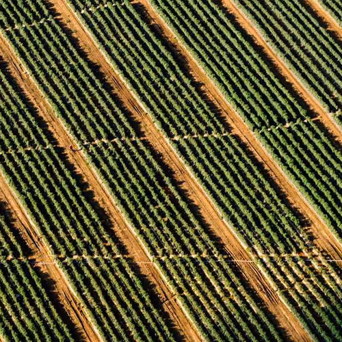 Config Professionals Pics