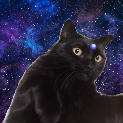 ZoraCat