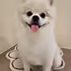 BOKSUNI