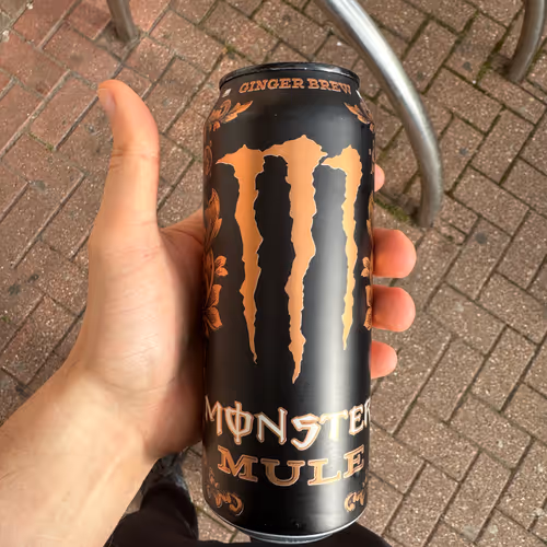 Touched grass with monster