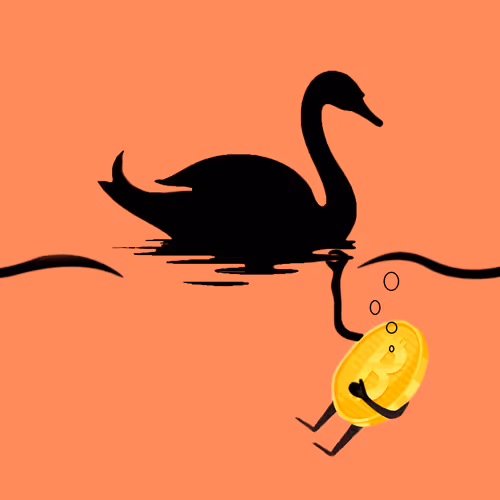 Black swan