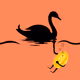 Black swan