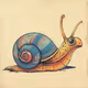 Snail PROtocol