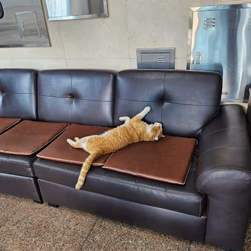 너가 최고다!