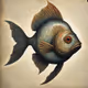 Zora Fish