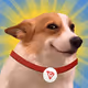 Sundog
