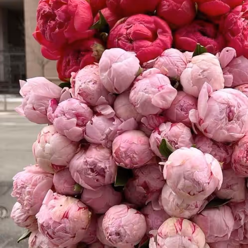 Every sunrise brings