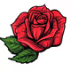 rose