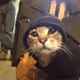 Zora Posts