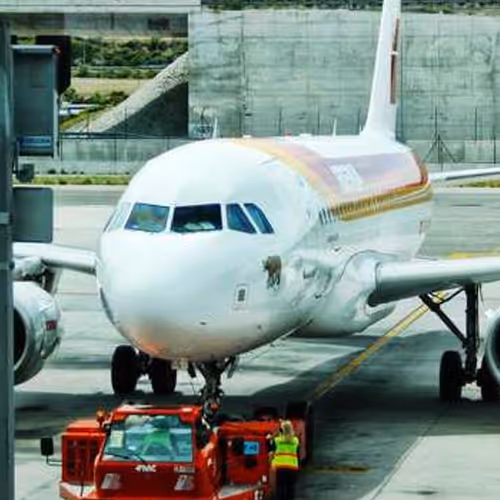 Eclipse Portrait Relay