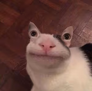 kuzma