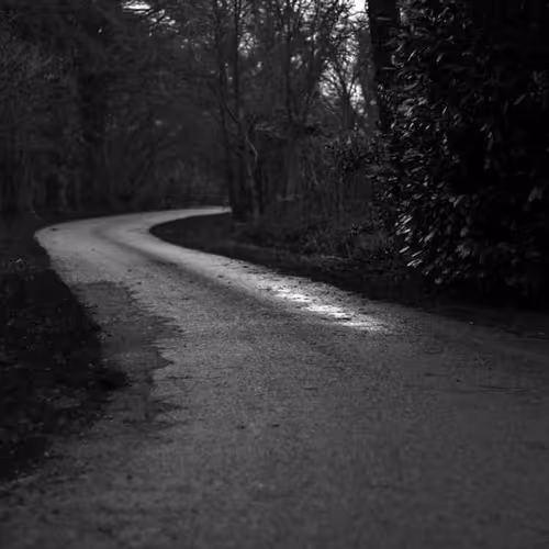 Tag