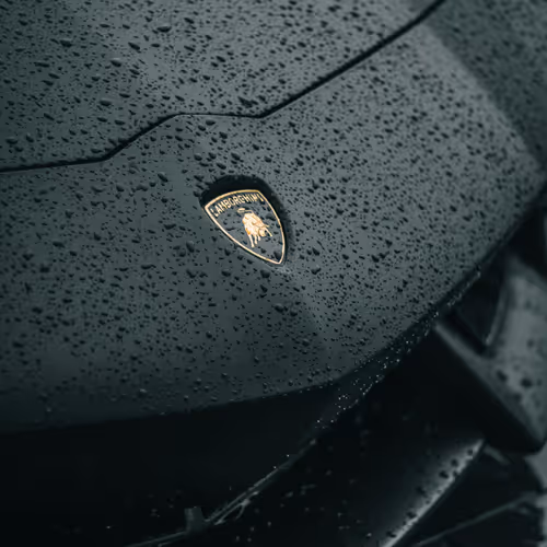 unlimited wealth soon