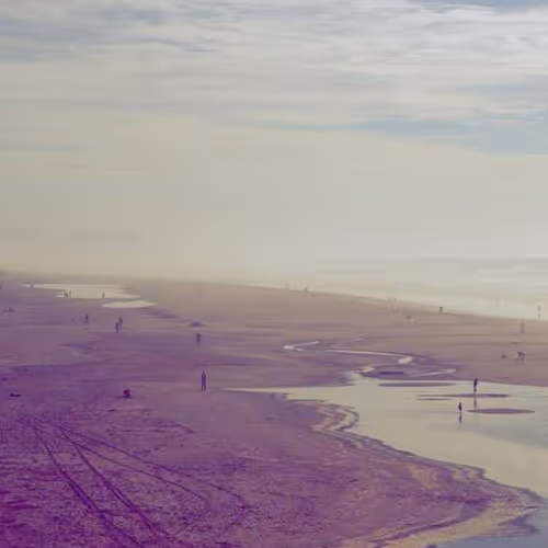 Hopefully Eyes Fired