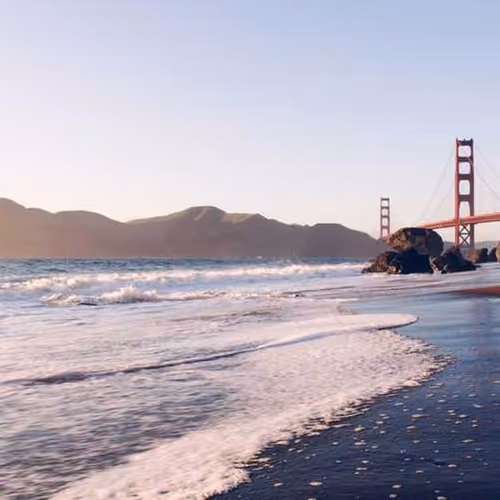 Disposition Doug Reverse