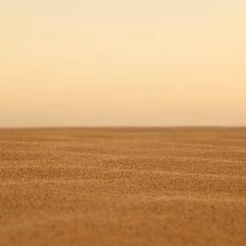 Mark Browsers Lauren