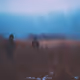 Submissions Twelve