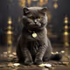 Wealthy Whiskers: Black Cat