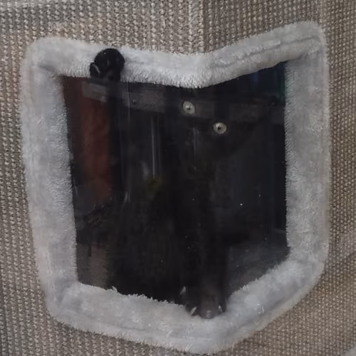 KittenMittens