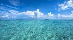 0x2326e77829c358f39623bb53f21a0d2ceb8fd7fb