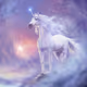 Black Horse