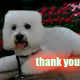 thanks