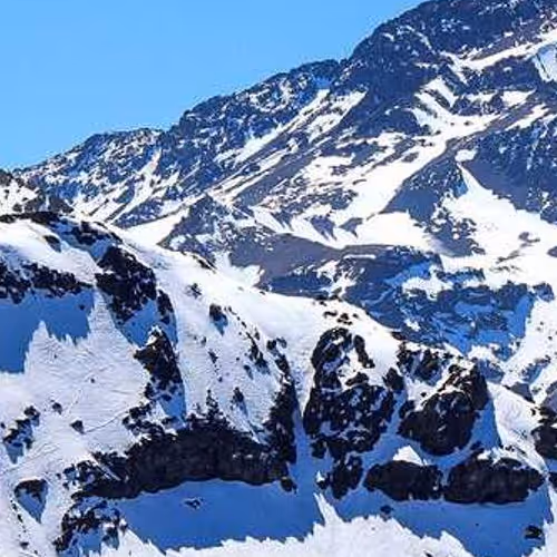 Hungarian Contractors