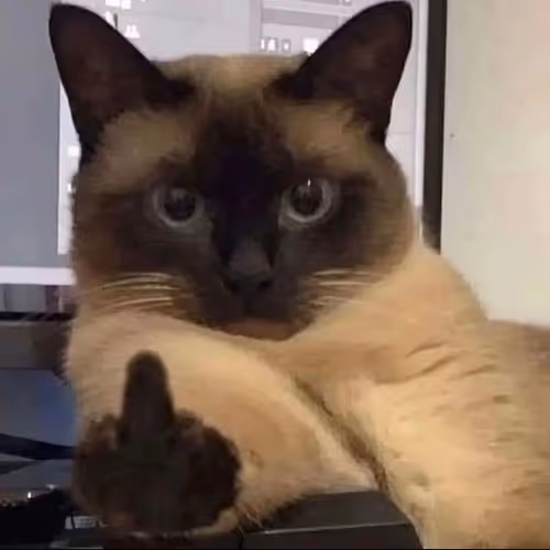 FUCK MONDAYS