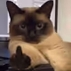 FUCK MONDAYS