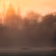 Fog