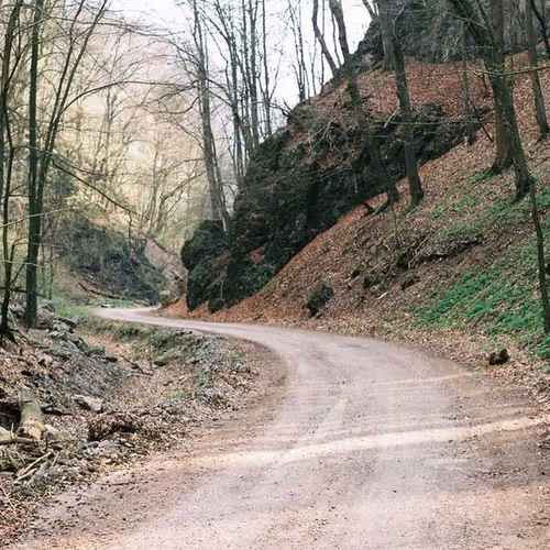 Swaziland Sheep Surveys
