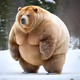 Enjoy Bear